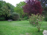 Oakhurst Bed & Breakfast - garden